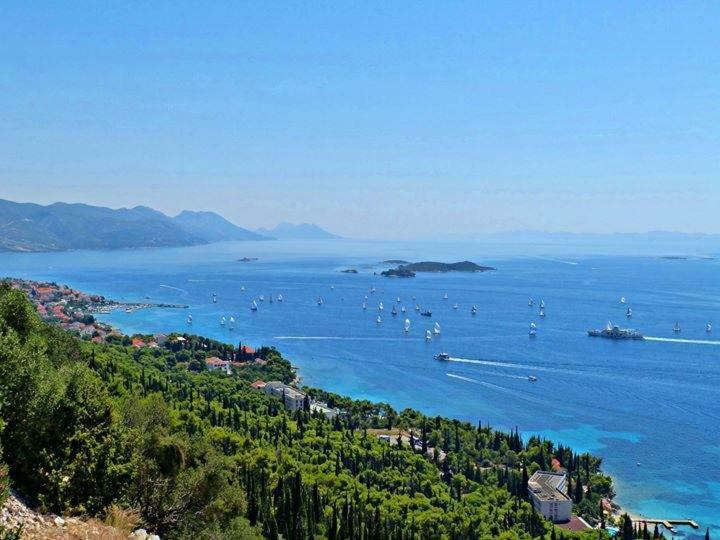 Apartmani Villa Lidija Orebić Dış mekan fotoğraf